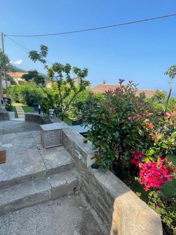 Le Cap Apartman San-Martino-di-Lota Kültér fotó